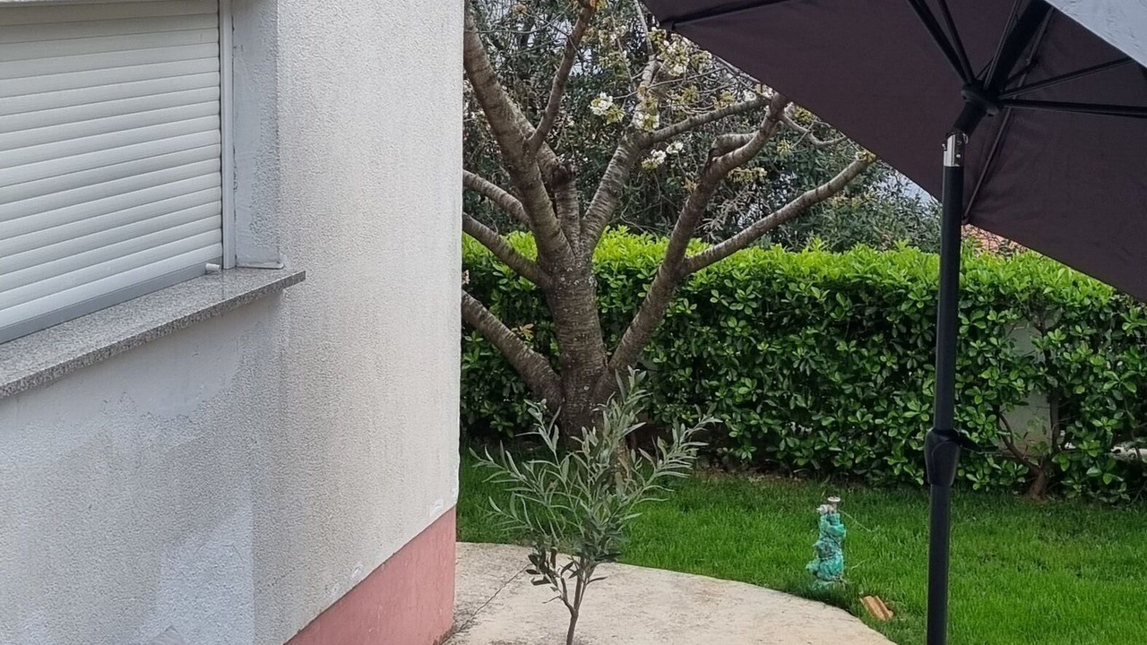 Photo of Outdoor in Rijeka