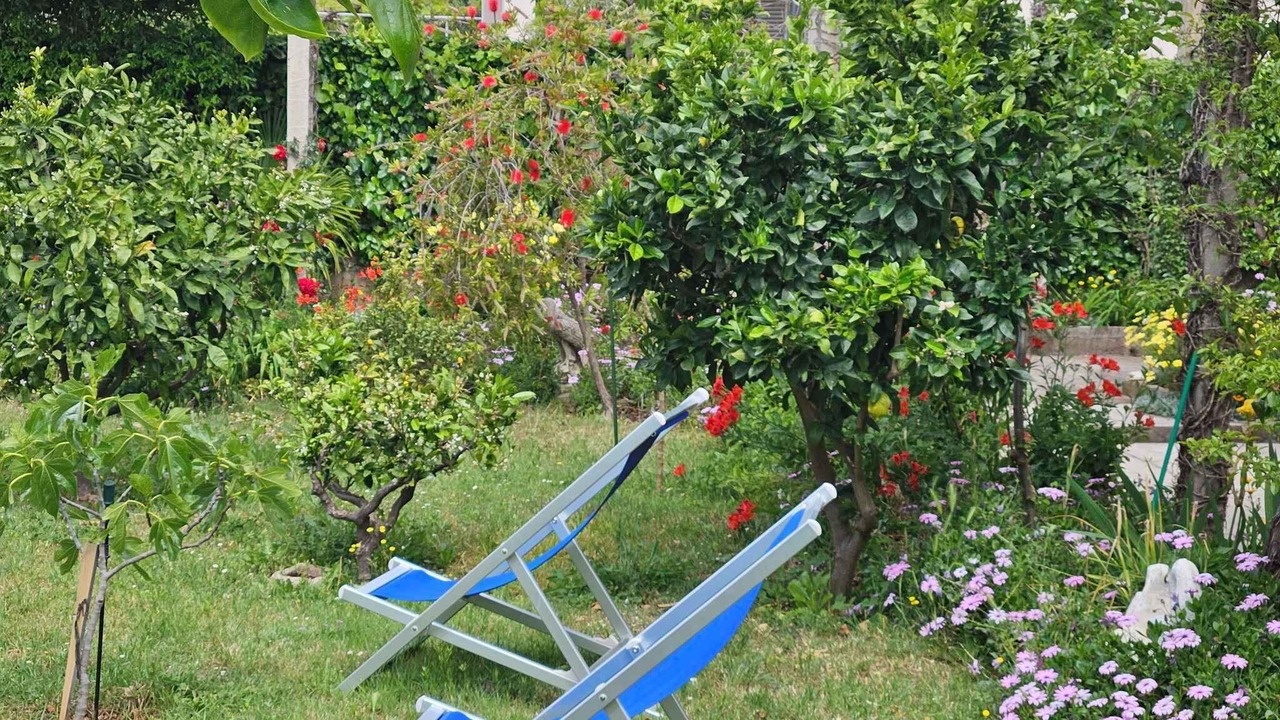 Photo of Outdoor in Zadar