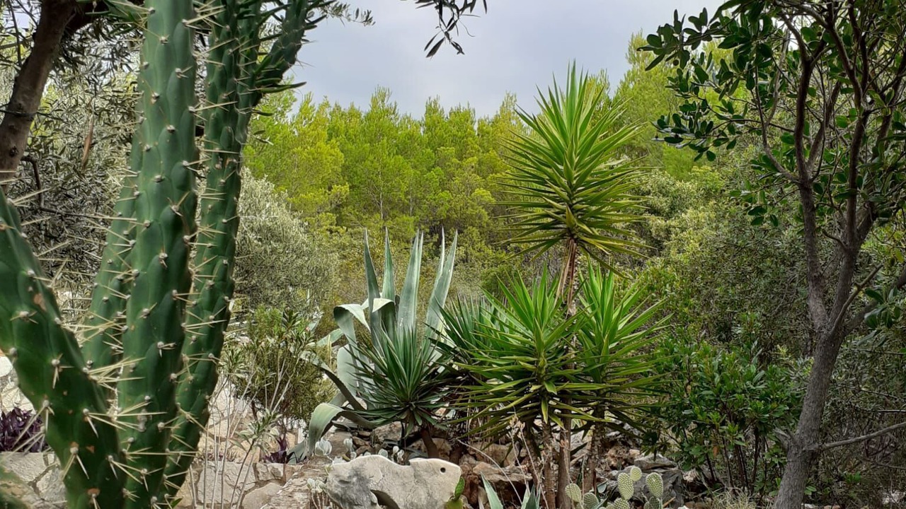 Photo of Outdoor in Blato