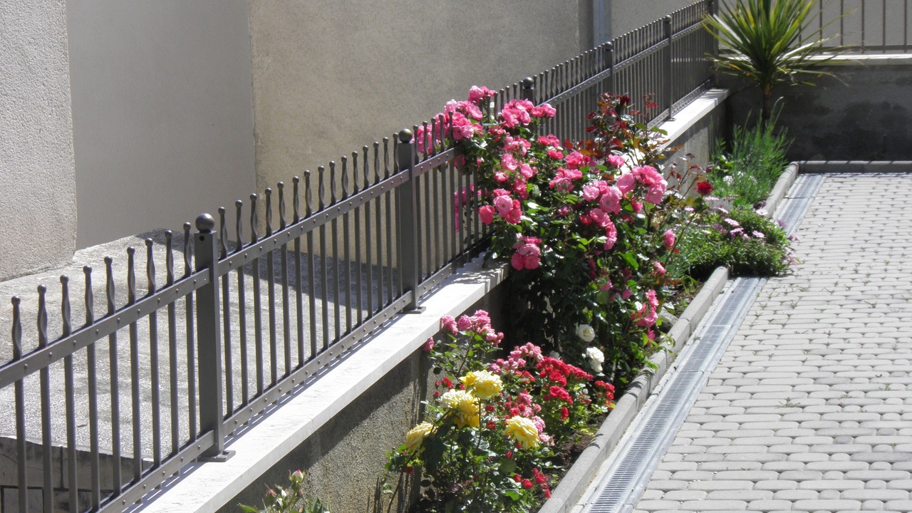 Photo of Outdoor in Brela