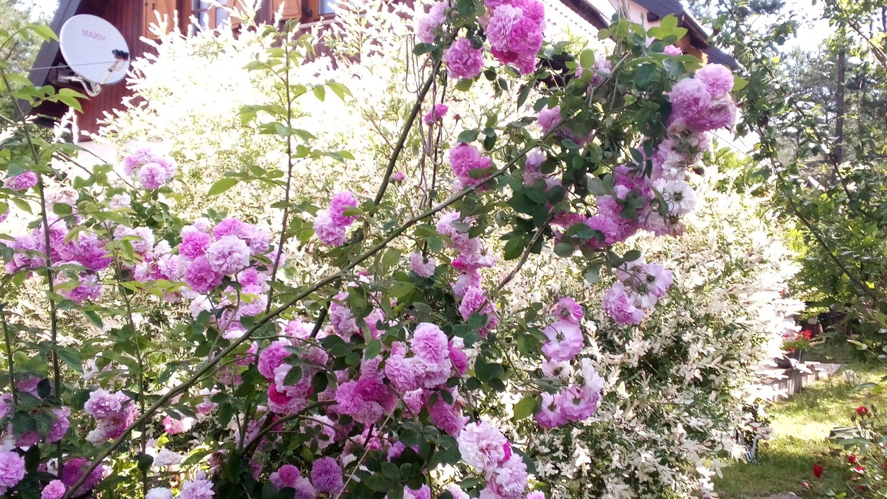 Photo of Outdoor in Rudanovac