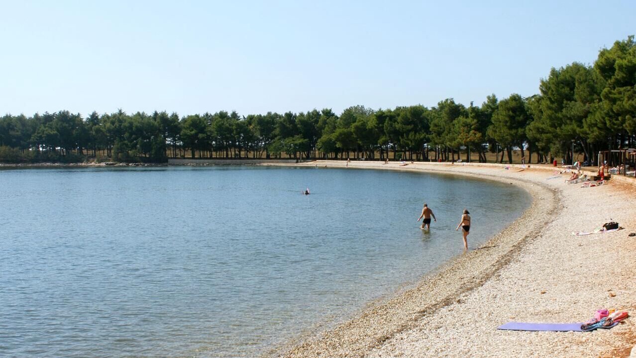 Photo of Others in Novigrad