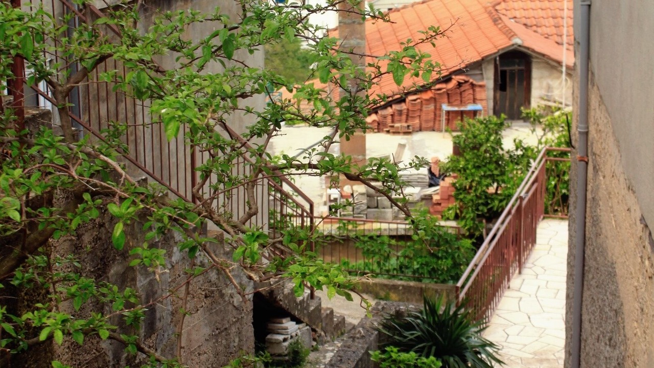 Photo of Outdoor in Island Hvar