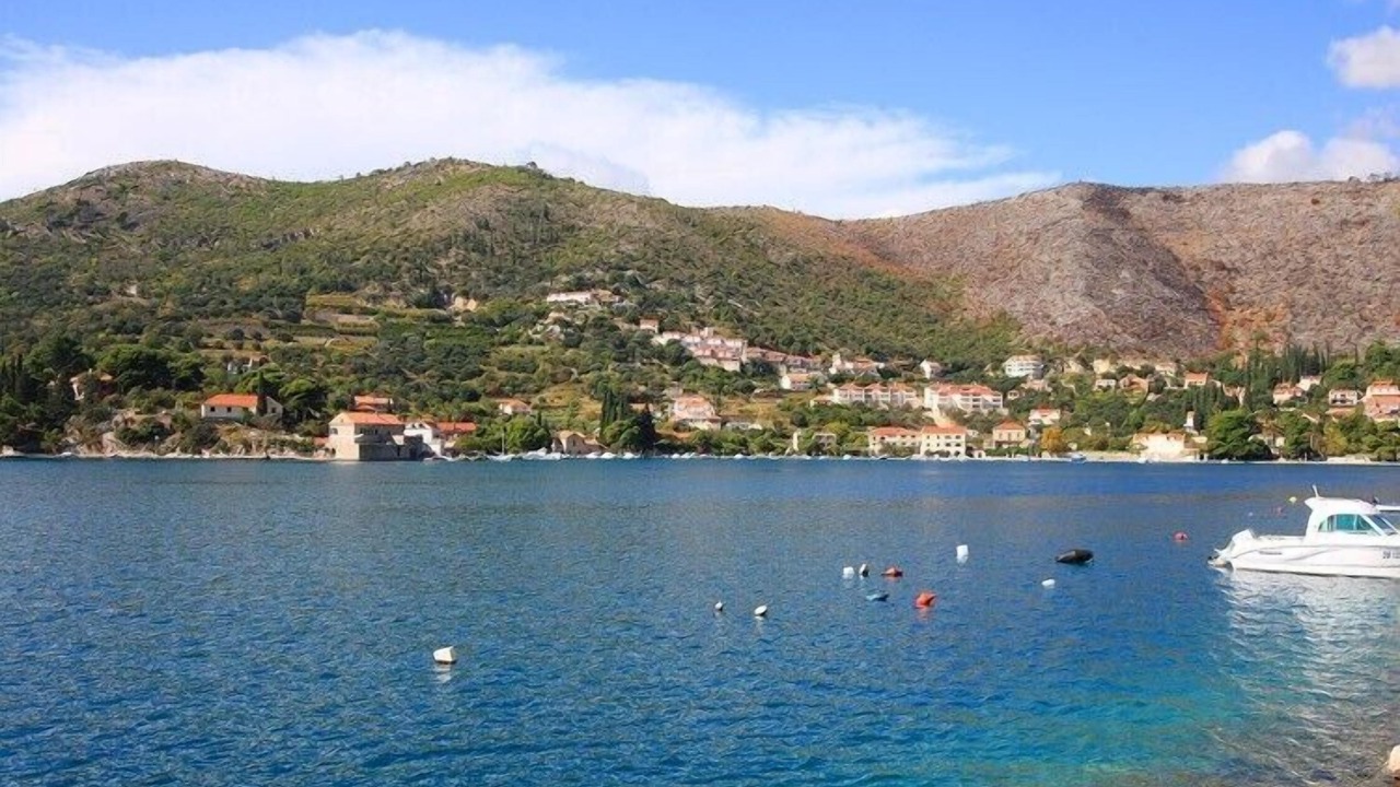 Photo of Others in Zaton