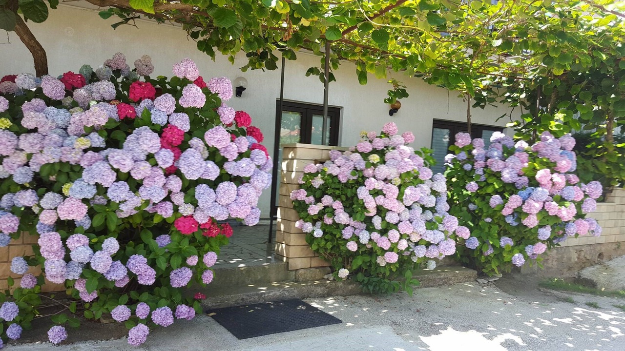 Photo of Outdoor in Valbandon