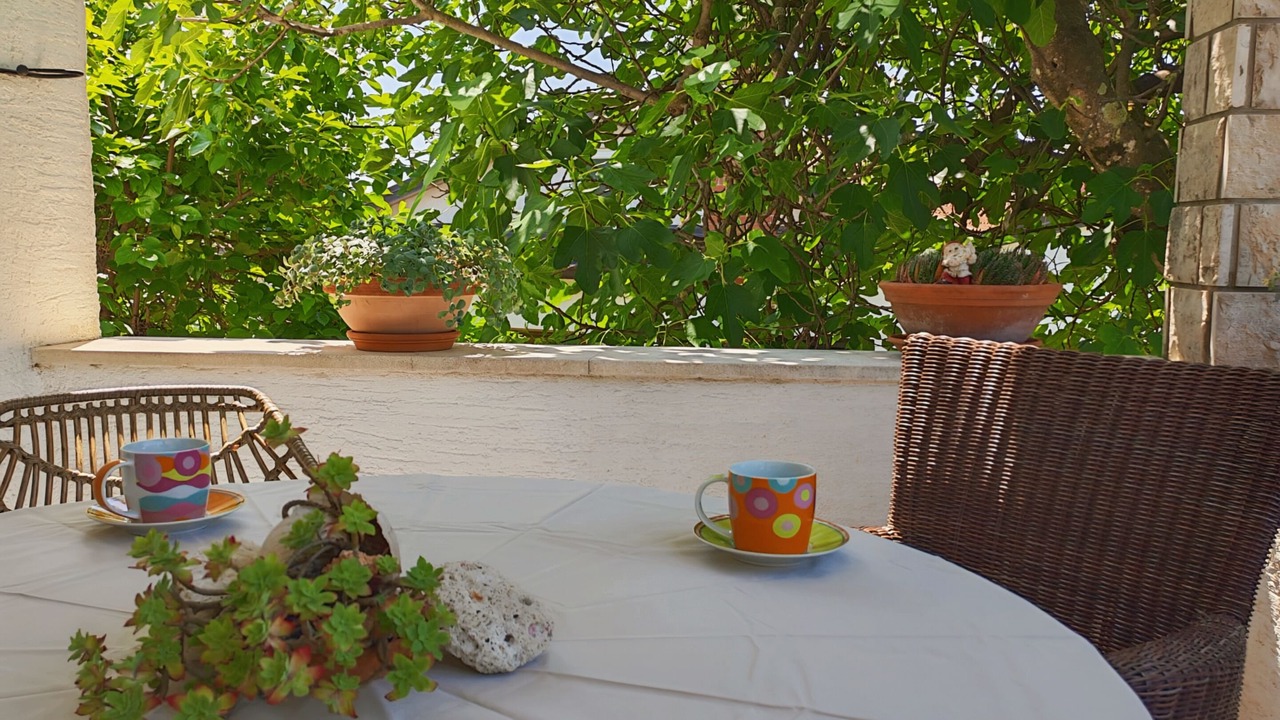 Photo of Outdoor in Zambratija