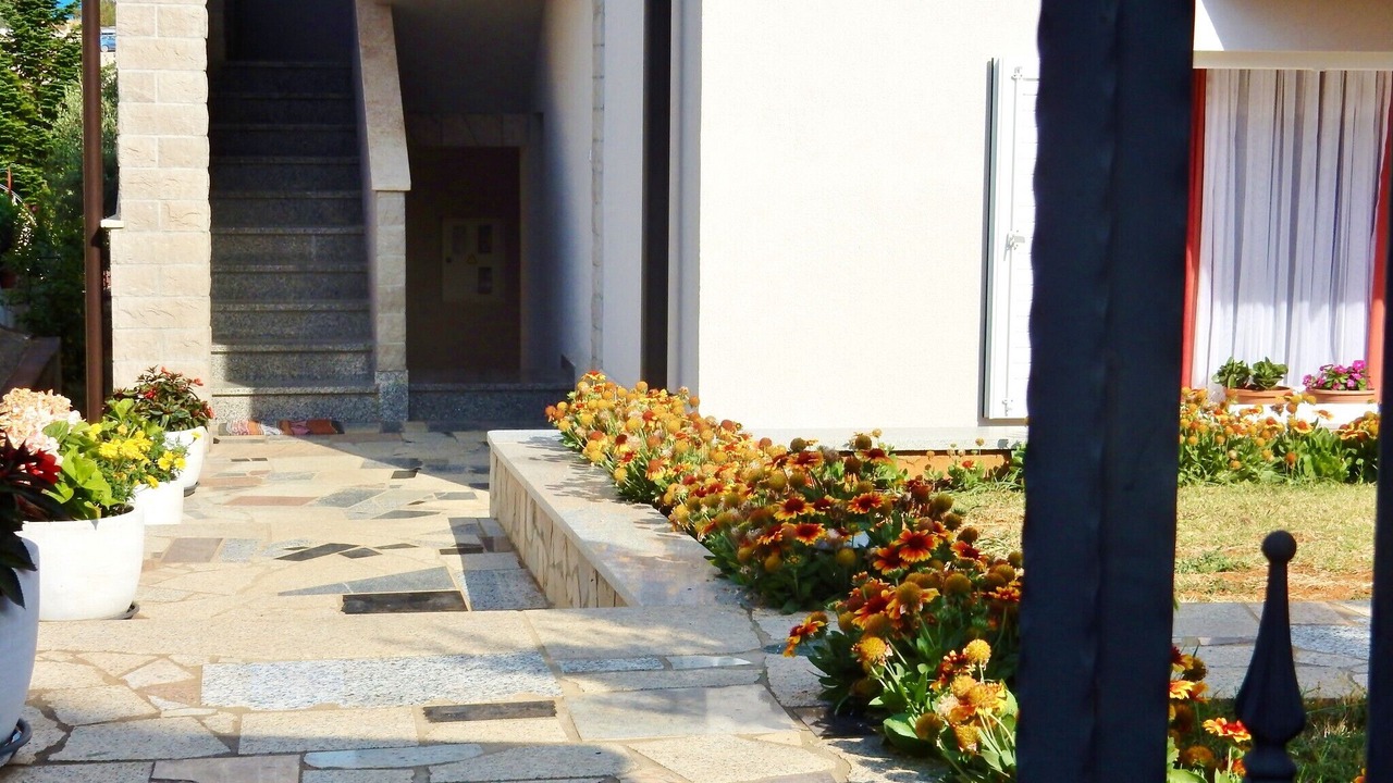 Photo of Outdoor in Medulin