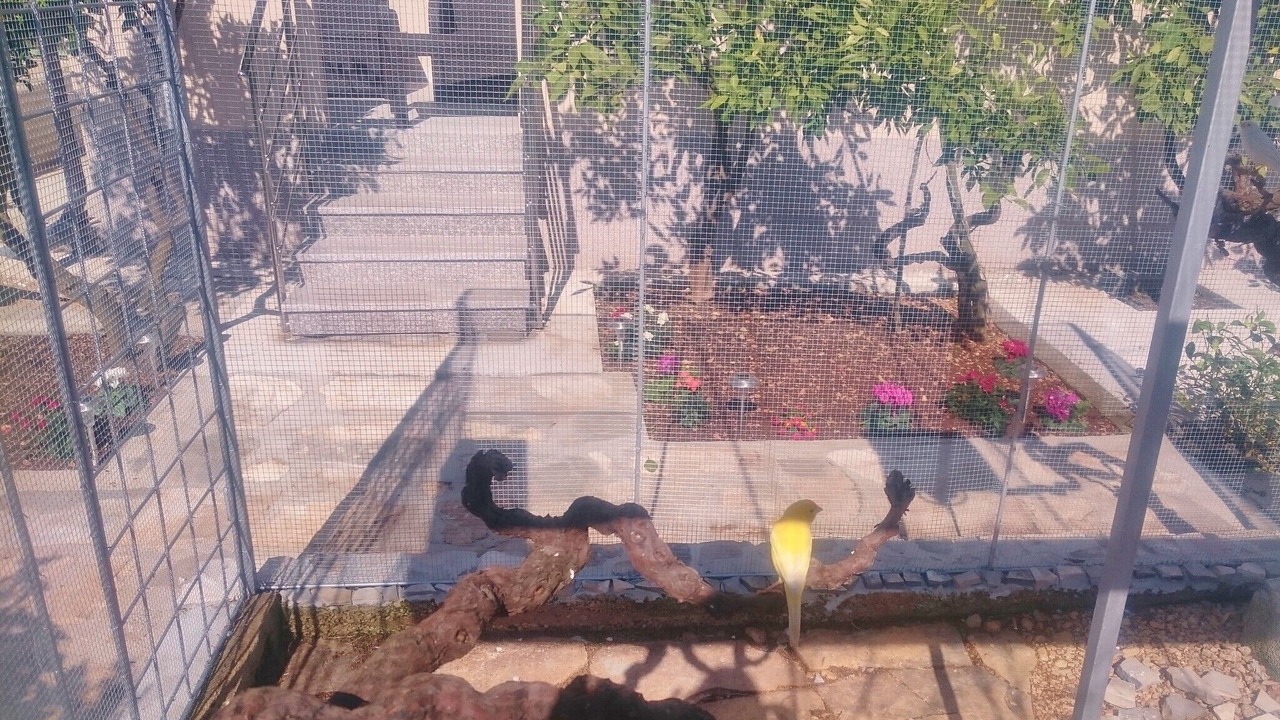 Photo of Outdoor in Vinisce
