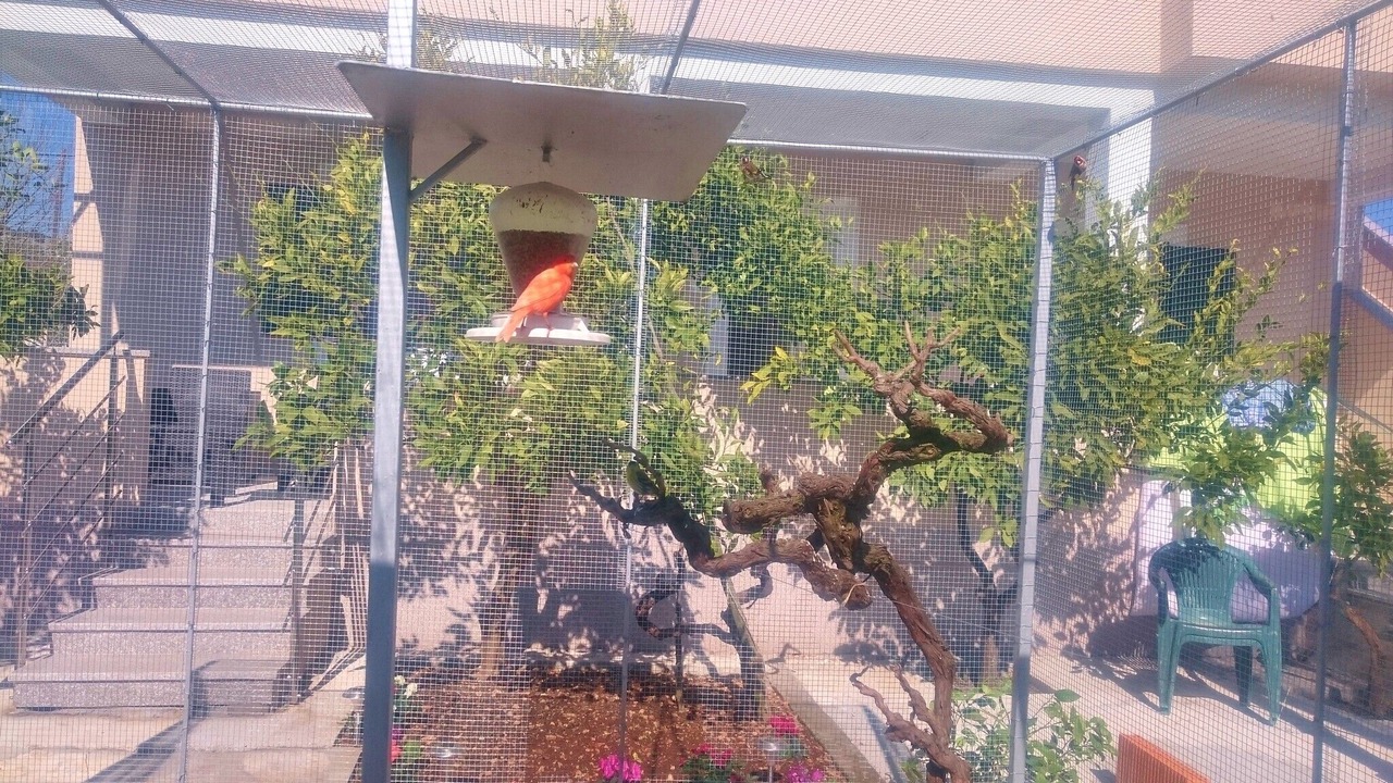 Photo of Outdoor in Vinisce