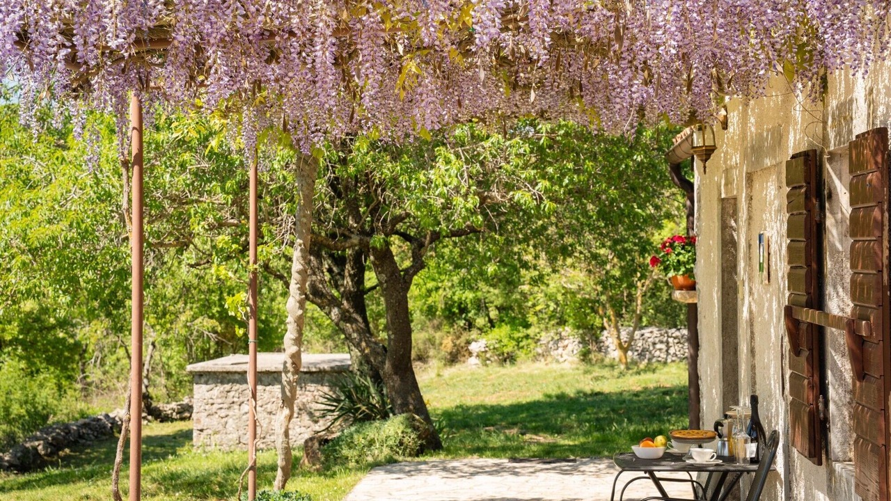 Photo of Outdoor in Rasa