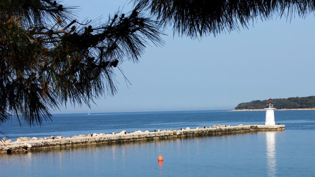 Photo of Others in Buzinija