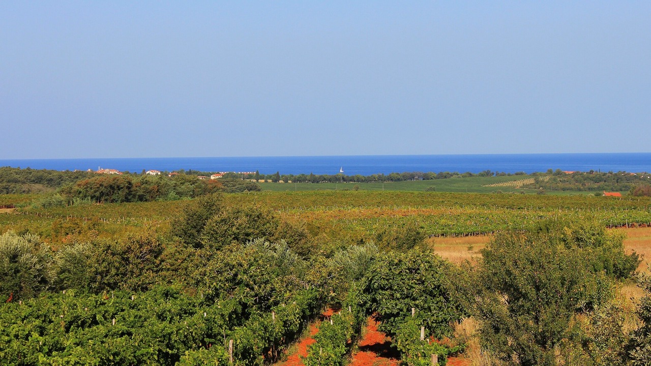 Photo of Outdoor in Buzinija
