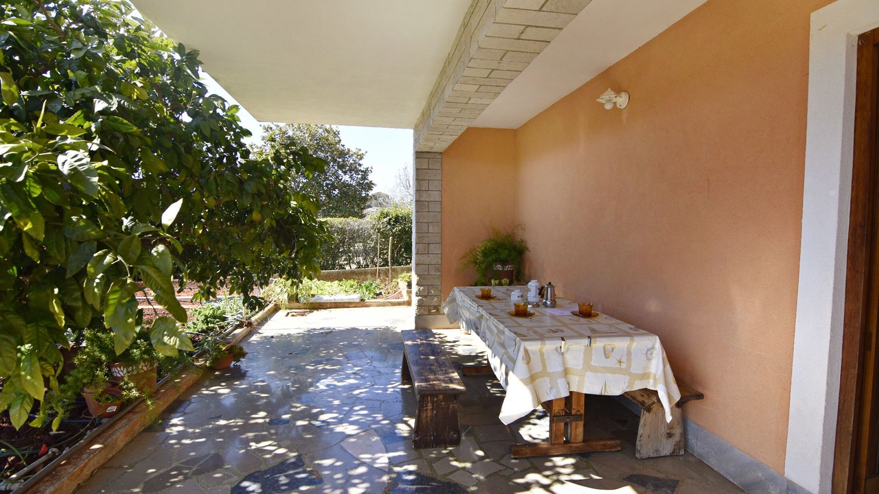 Photo of Outdoor in Basanija