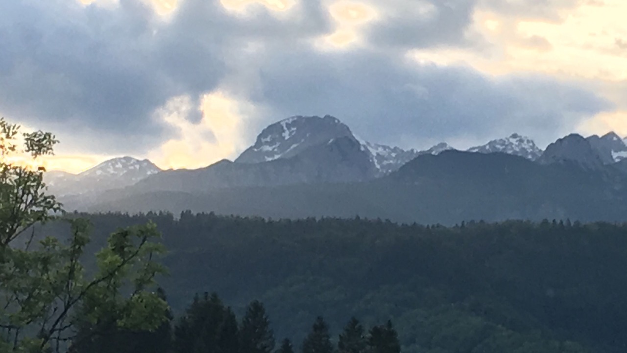 Photo of Others in Bohinjska Cesnjica