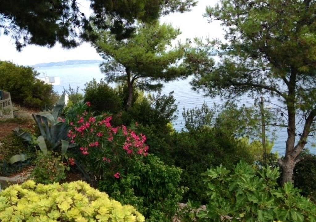 Photo of Outdoor in Island Dugi Otok