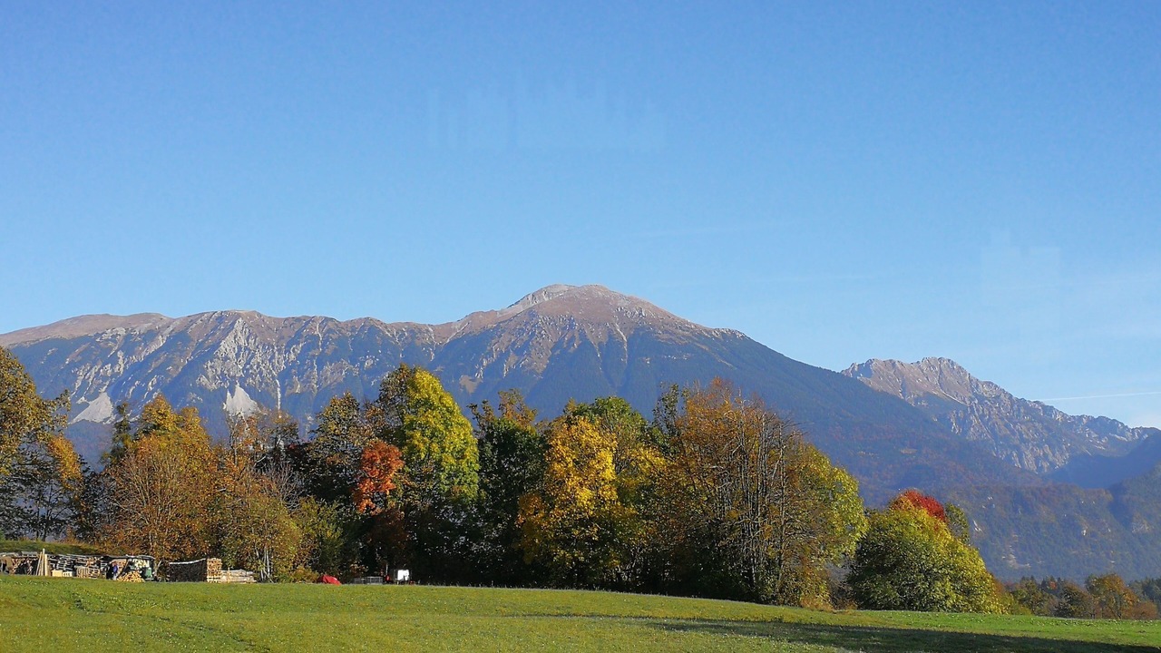 Photo of Others in Bled