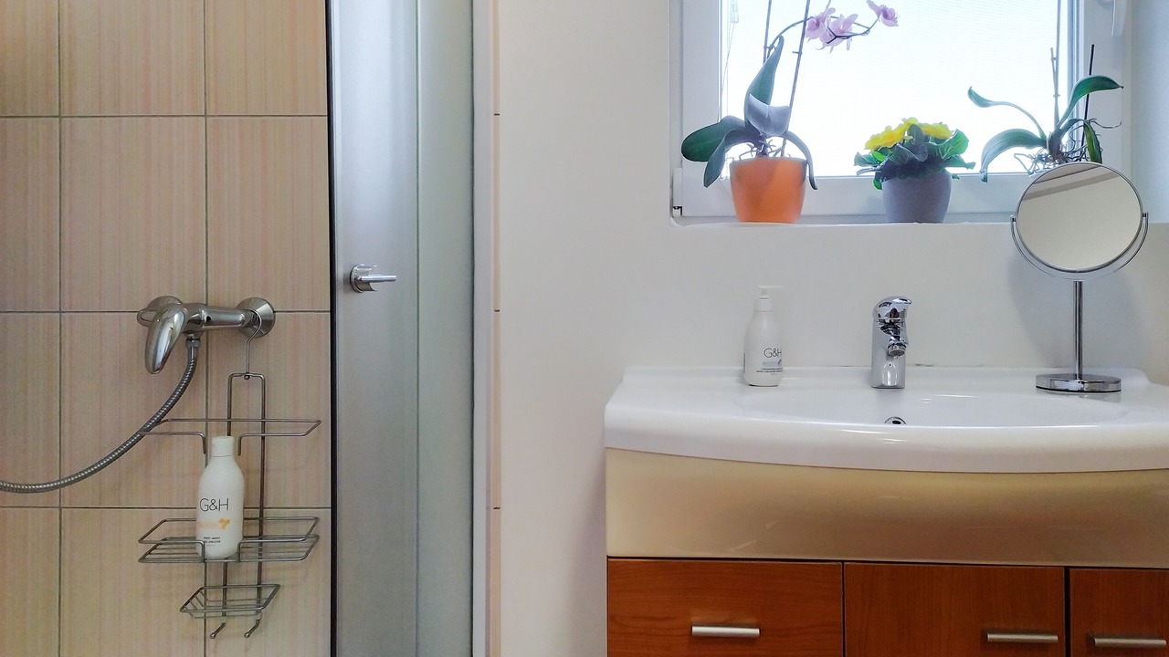 Photo of Bathroom in Brezice