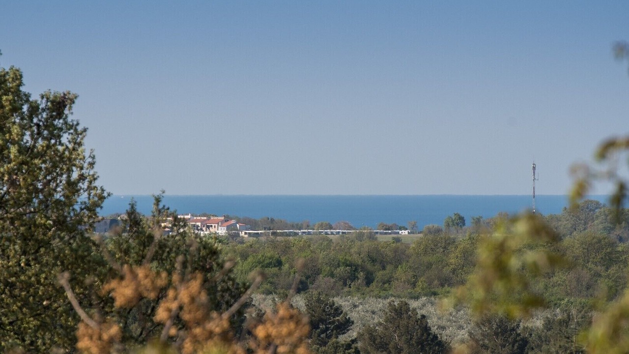 Photo of Others in Vabriga