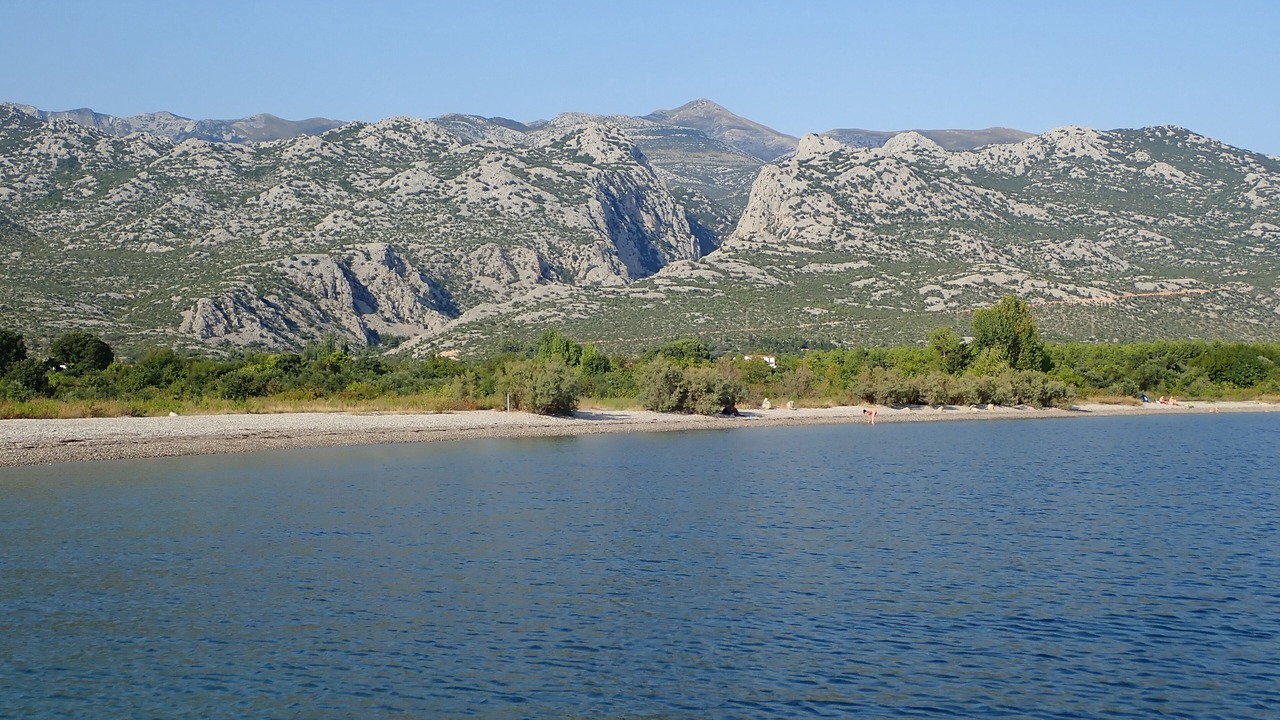 Photo of Others in Seline