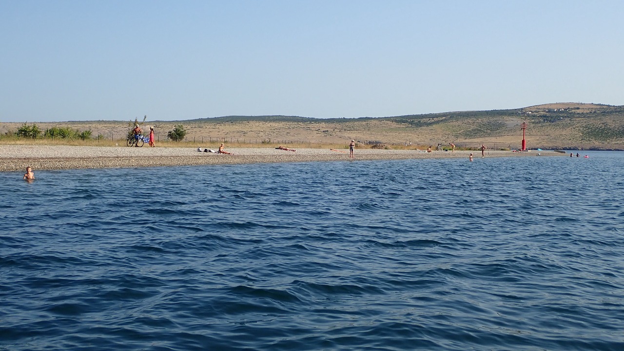 Photo of Others in Seline