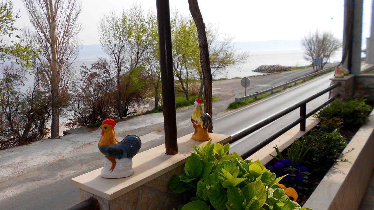 Photo of Patio Balcony in Dugi Rat