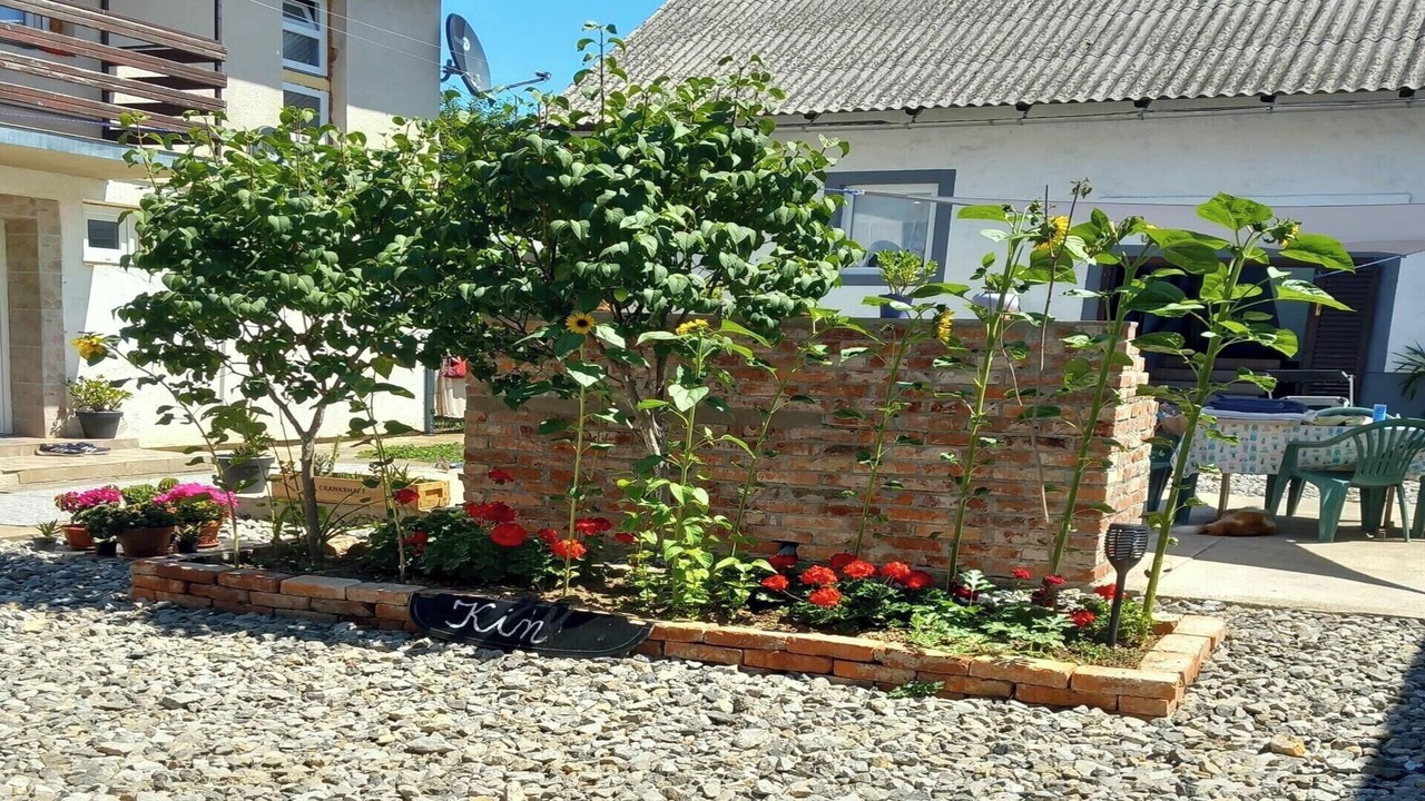 Photo of Outdoor in Municipality of Plaski