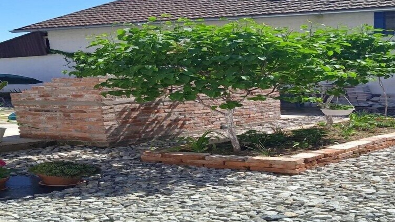 Photo of Outdoor in Municipality of Plaski