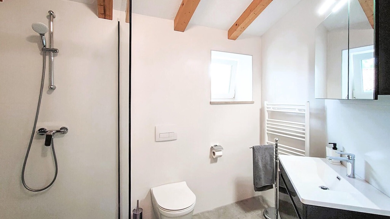 Photo of Bathroom in Lupoglav