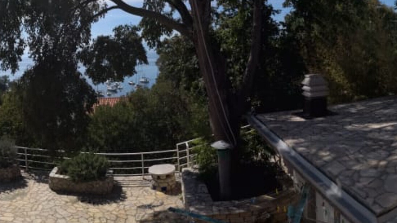 Photo of Outdoor in Zurkovo