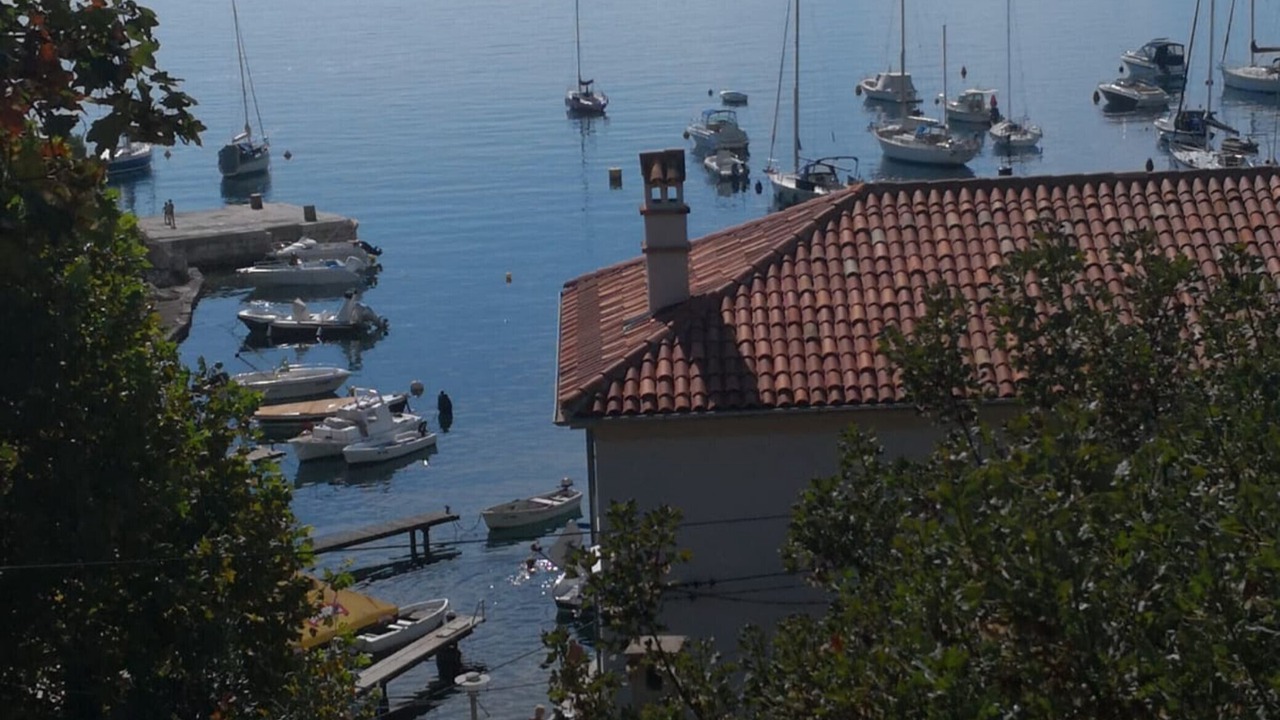 Photo of Outdoor in Zurkovo