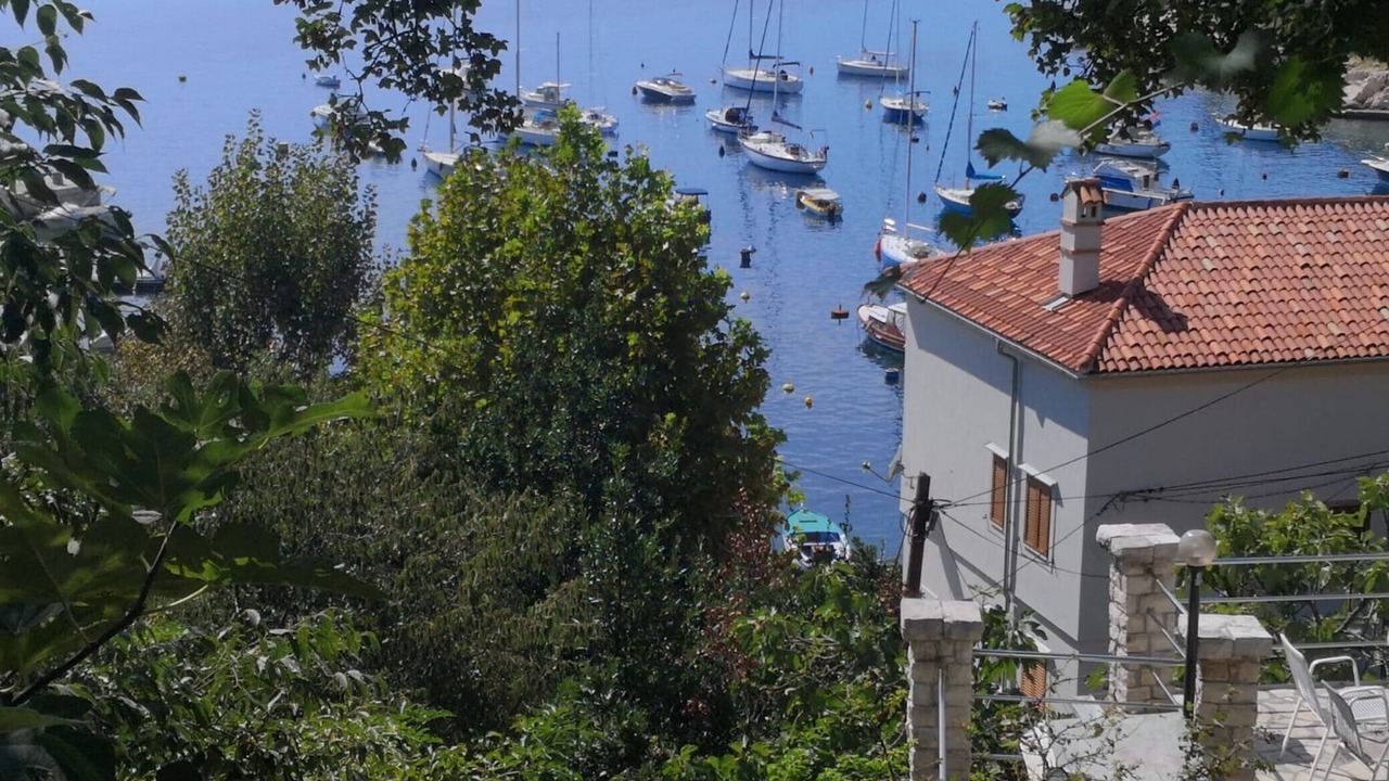 Photo of Outdoor in Zurkovo