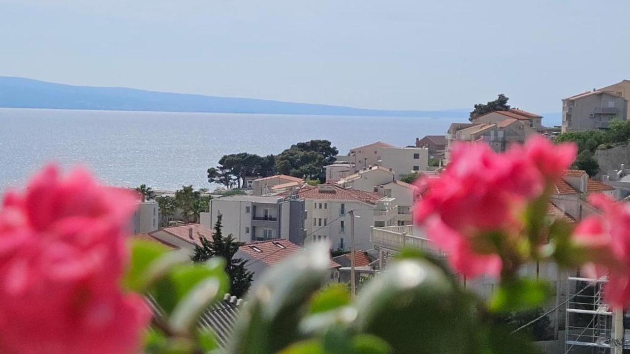 Photo of Outdoor in Duce