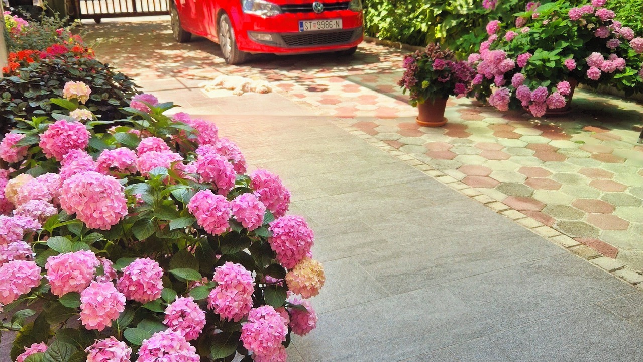 Photo of Outdoor in Kastel Novi