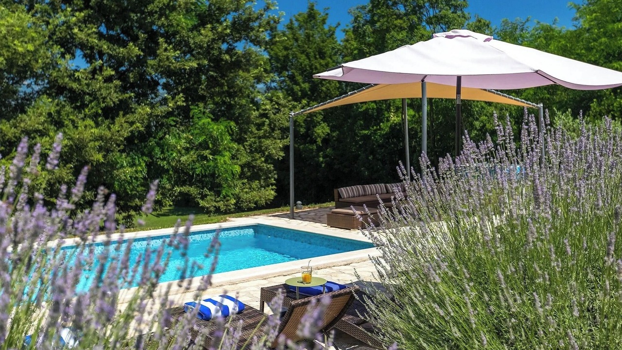 Photo of Outdoor in Boljevici