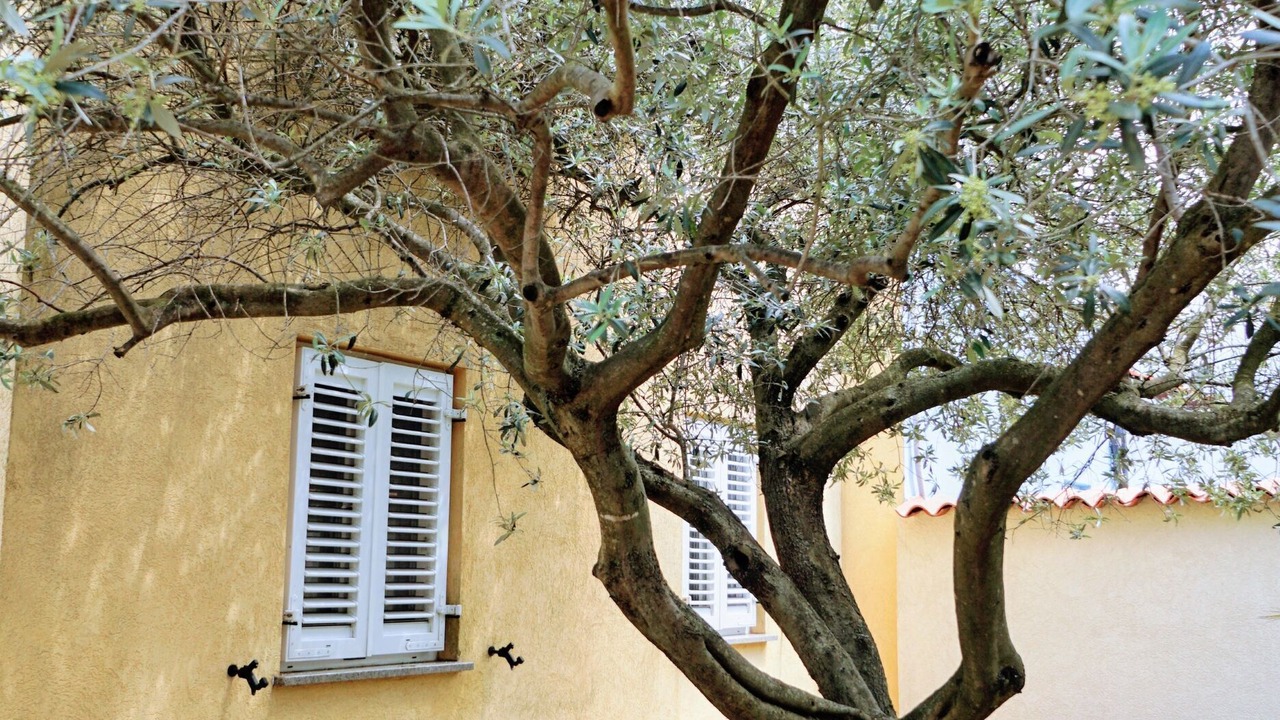 Photo of Patio Balcony in Crveni Vrh
