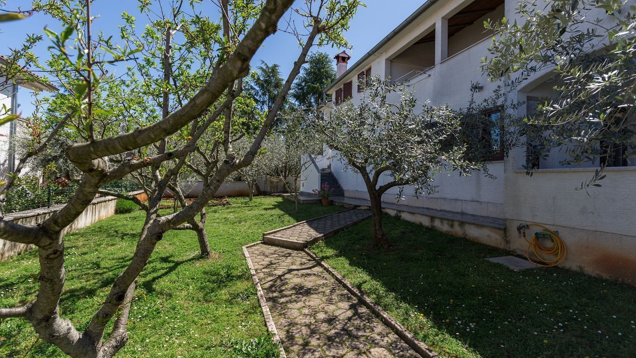Photo of Outdoor in Spadici