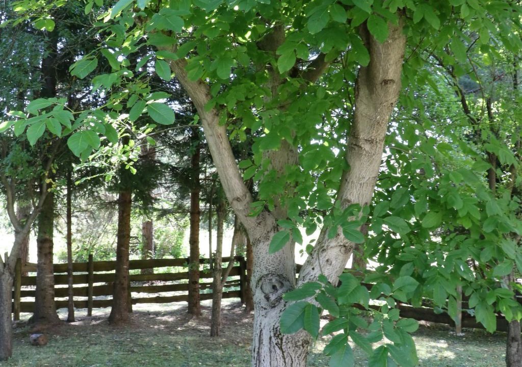 Photo of Outdoor in Rudanovac
