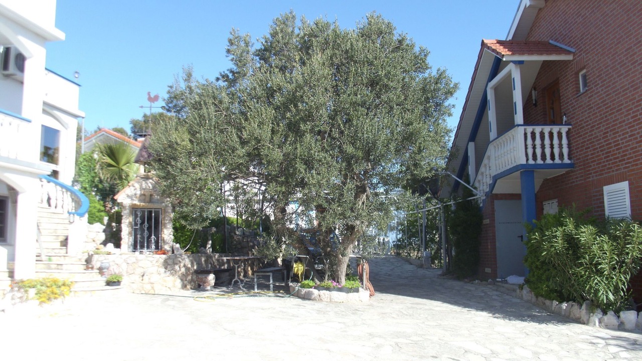 Photo of Others in Dobropoljana