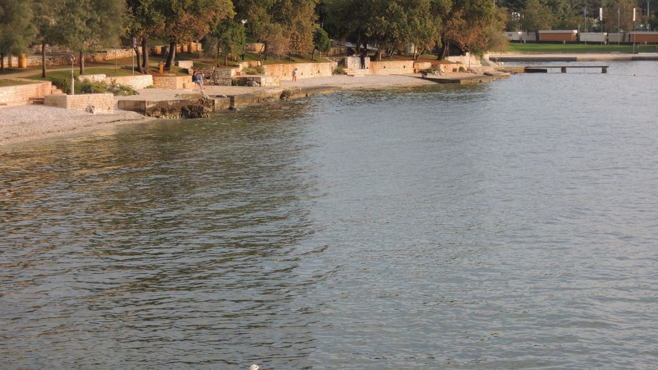 Photo of Others in Vrvari