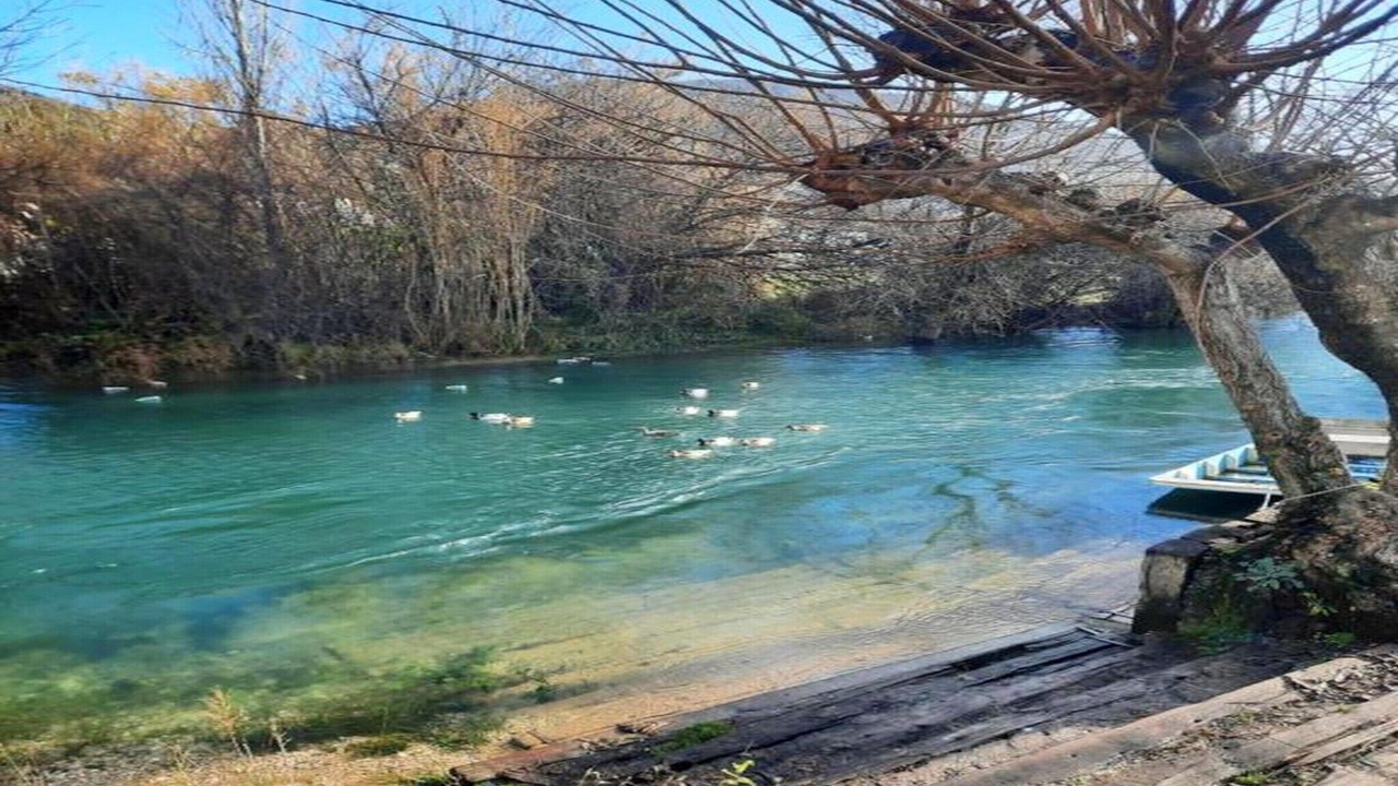 Photo of Others in Dusina