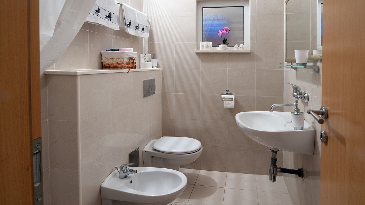 Photo of Bathroom in Mravince