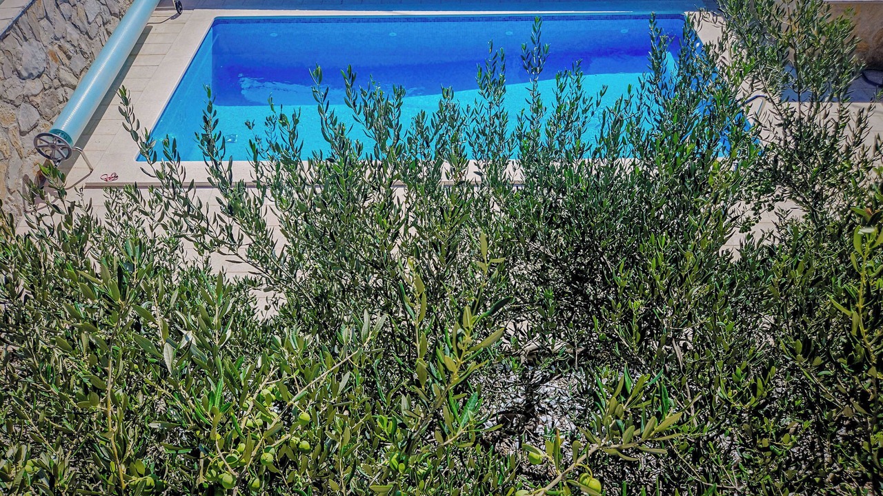 Photo of Outdoor in Marina