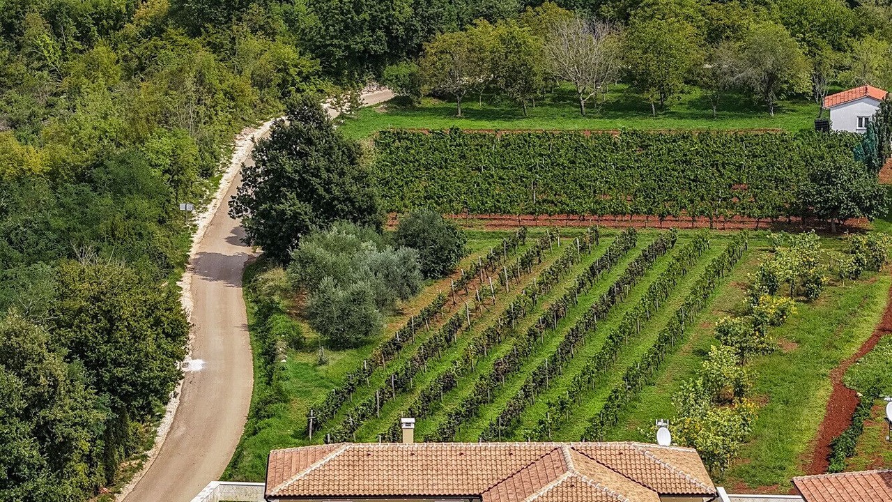 Photo of Outdoor in Ferlini