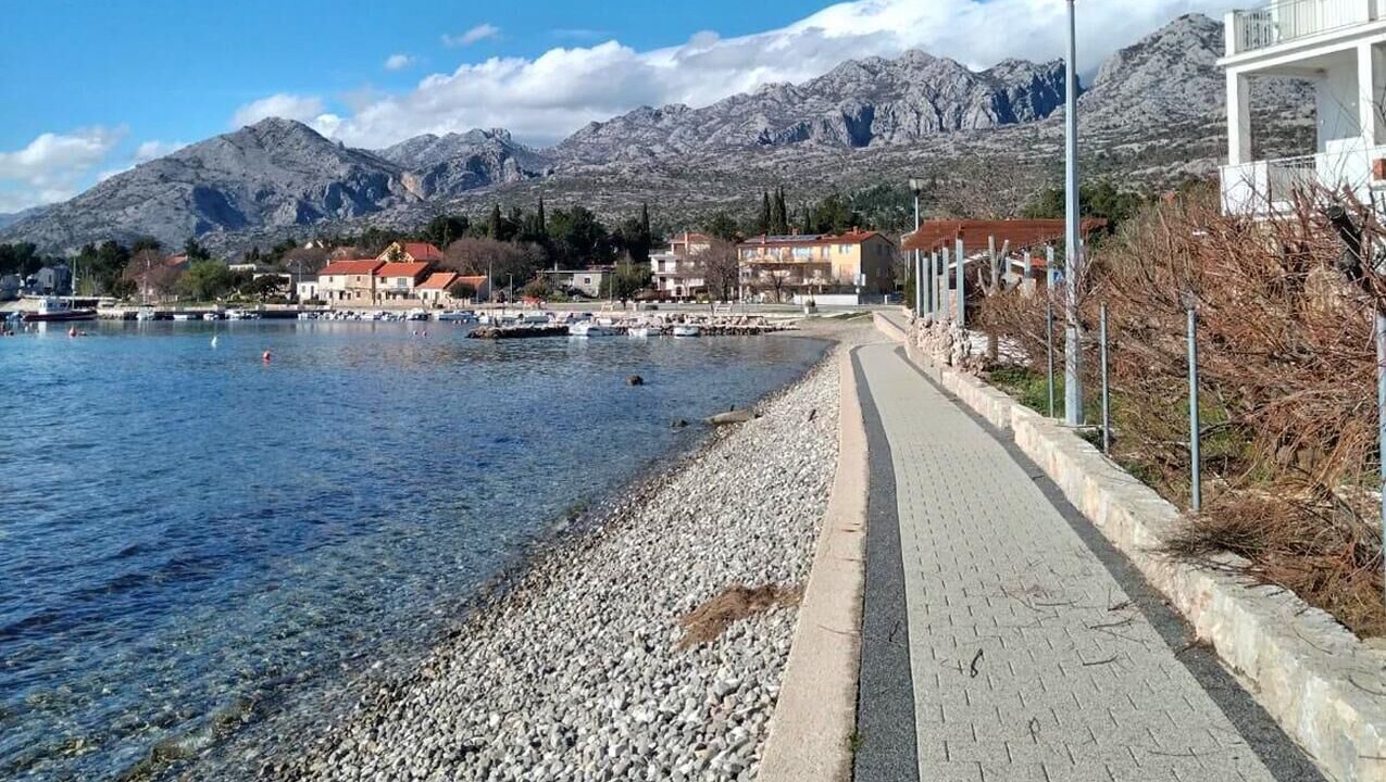Photo of Others in Seline