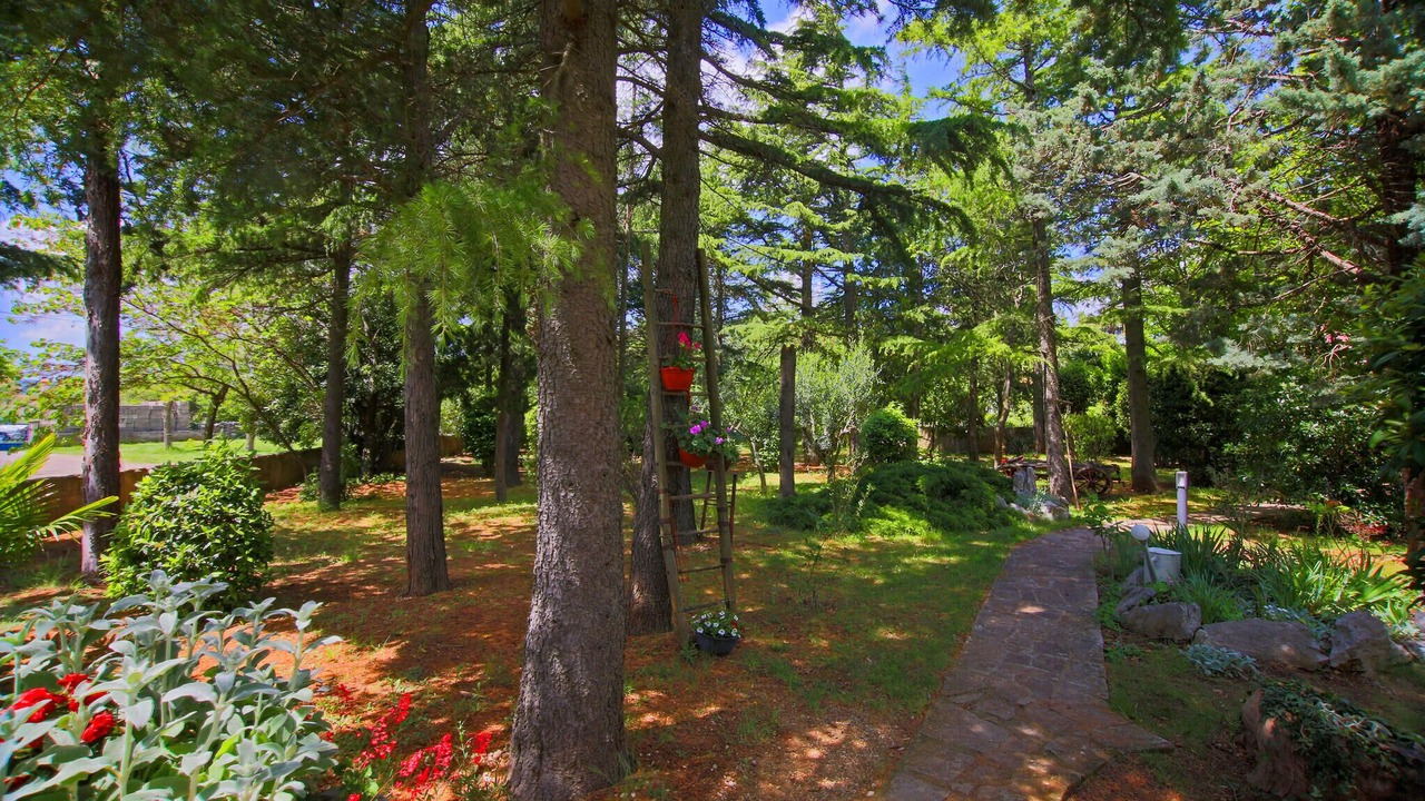 Photo of Outdoor in Brgod