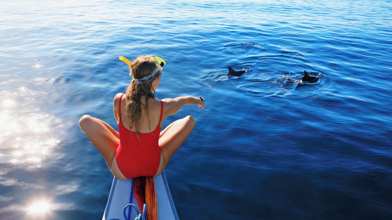 Photo of Others in Biograd na Moru