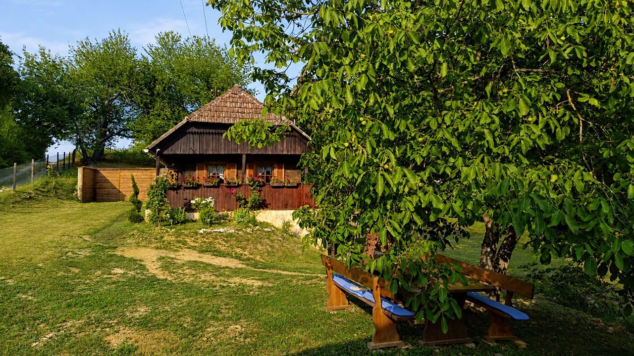 Photo of Others in Vojnic