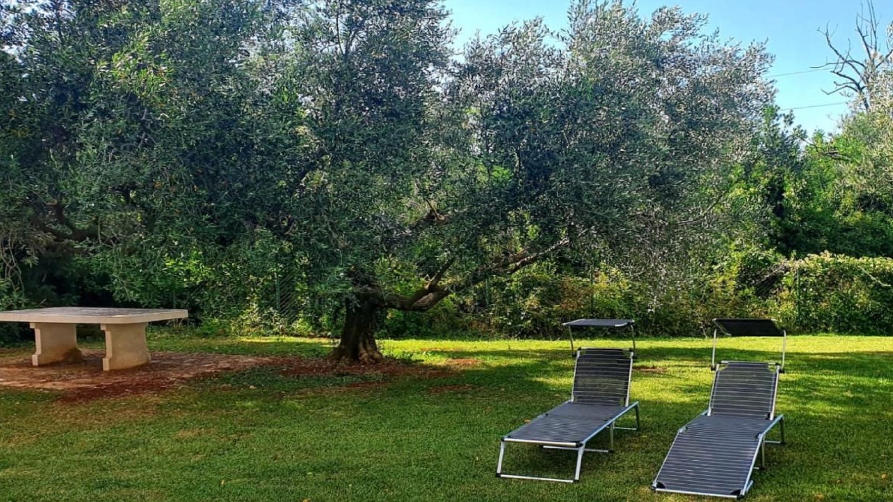 Photo of Outdoor in Zambratija