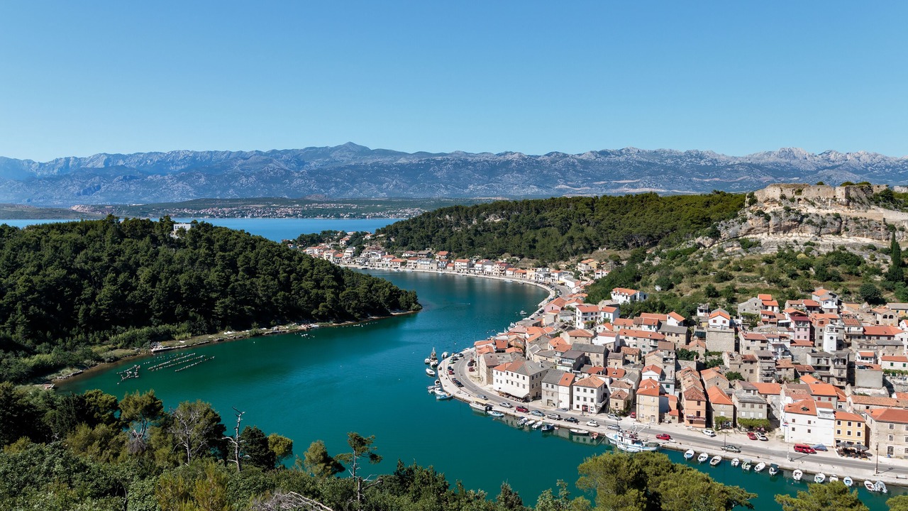 Photo of Others in Novigrad