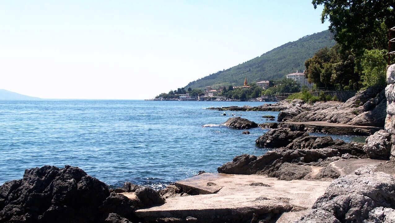 Photo of Others in Ika
